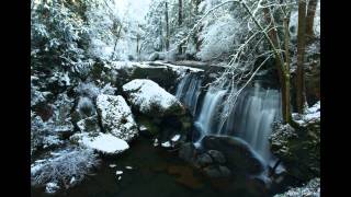 Elaine Ryan - The River (featuring nature photos by Daniel Ewert)