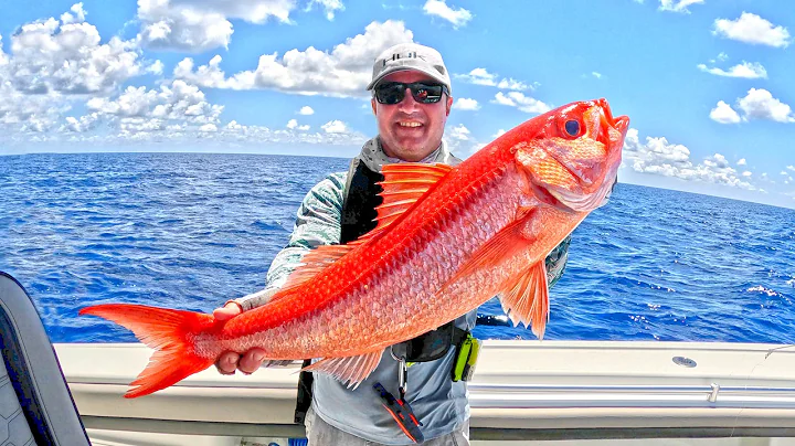 How to Find & Catch GIANT Queen Snapper at Pulley Ridge *Catch, Clean & Cook*