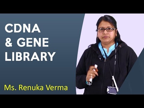 Gene Library (cDNA) l Biology | Asst. Prof. Renuka Verma