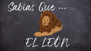 El León Un Símbolo De Fuerza Y Nobleza 2
