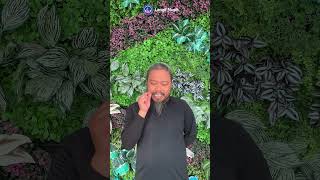 Download Lagu Tiada alasan untuk \ MP3