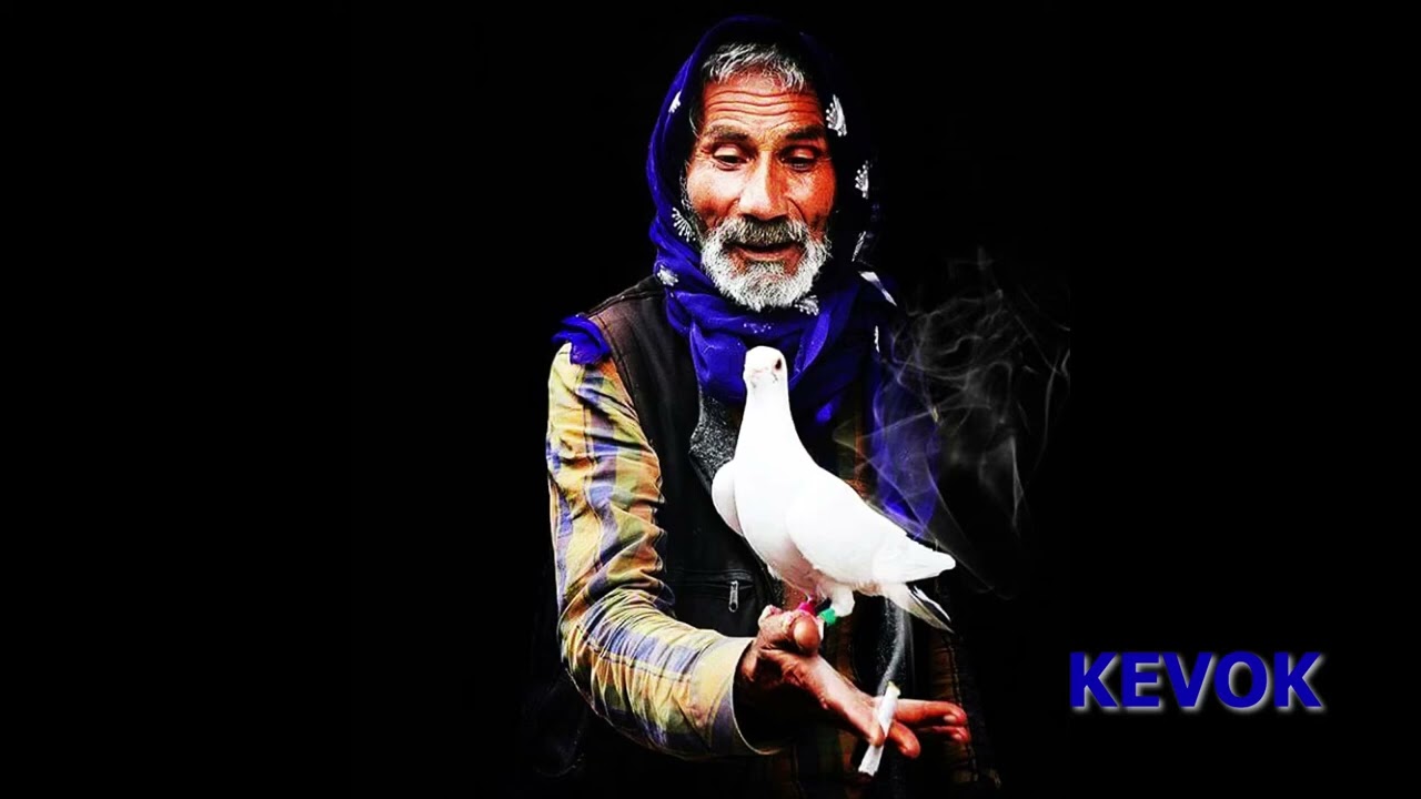 Kevok - çîrok - Rênas Jiyan - Rêşad Sorgul