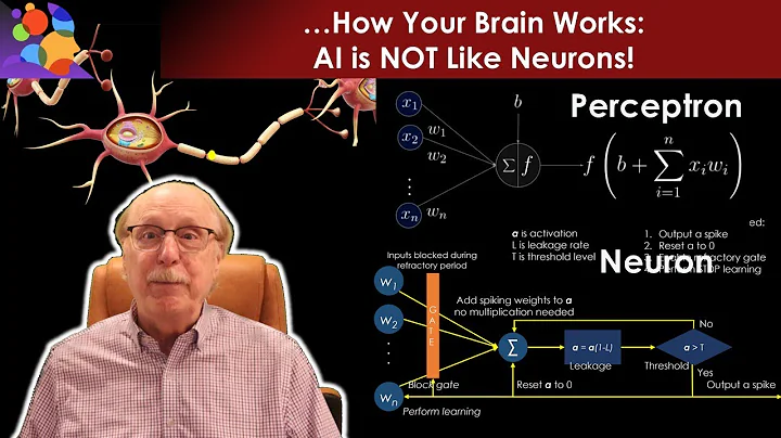 Neurons vs AI: They’re Nothing Alike