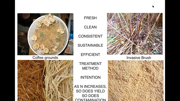 Cultivation Methods for Oyster Mushrooms on Straw ...