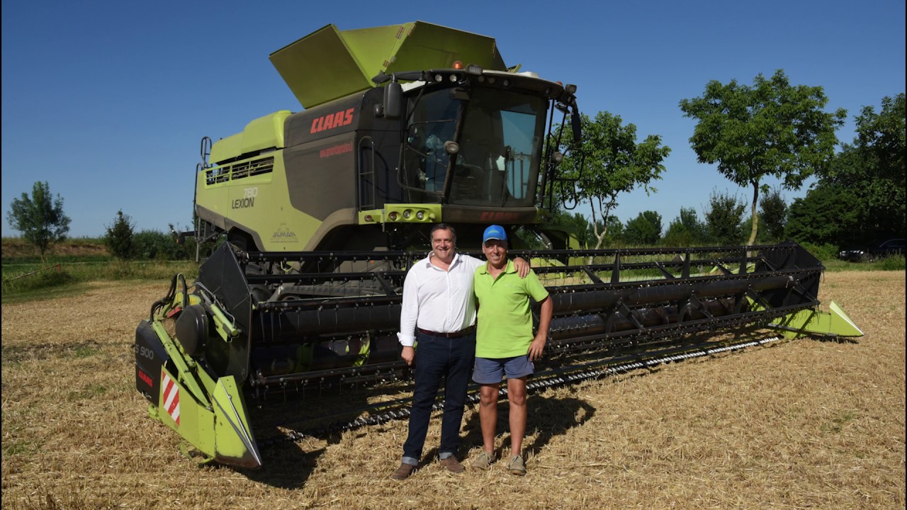CLAAS In Campo 2018. LEXION 780 TERRA TRAC. Azienda Eredi Suman. Rovigo.