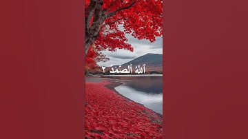 AL-IKHLAS (سورة الاخلاص) - Egzon Ibrahimi #egzonibrahimi #ikhlas #سورة_الإخلاص