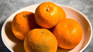 Seville Orange Marmalade Recipe | The Cotswolds Baking Workshop