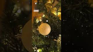 Best Tagalog Christmas Songs Medley 2024🌲Christmas Song 2024