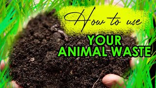 Using Natural Fertilizer from Animal Waste for Crop Production