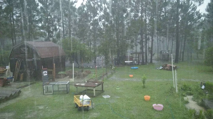 Rainy days and Mondays