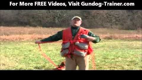FREE VIDEO - Phase Two of The Collar Whoa (visit www.gundog-trainer.com )