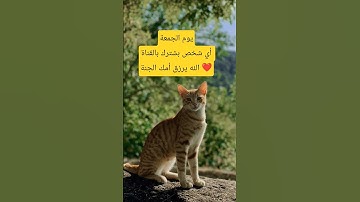 #اللهم_صل_وسلم_على_نبينا_محمد #اكسبلور #اقنباسات #رسول_الله #القارئ #الله #حالات_واتس #يارب #لايك