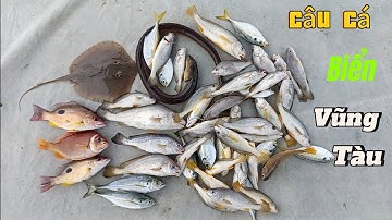 Canh nước câu tôm sống dính đủ loại cá #caucabien #sea fishing 