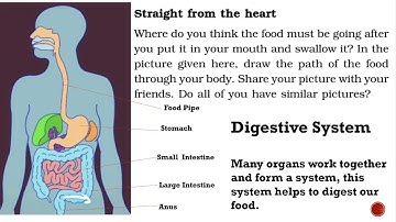 From Tasting To Digesting (Part-2)In ENGLISH | NCERT Class 5 EVS Chapter-3 | CBSE Class5 EVS