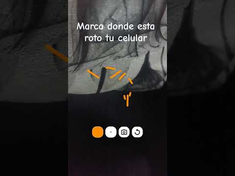 21 De Noviembre De 2025