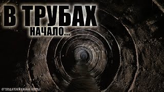 ШЕПОТ ИЗ РАКОВИНЫ. Страшные рассказы. Мистика. ШЕПОТ ИЗ РАКОВИНЫ. Страшные рассказы. Мистика.