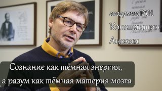 Сознание как тёмная энергия, а разум как тёмная материя мозга. Константин Анохин