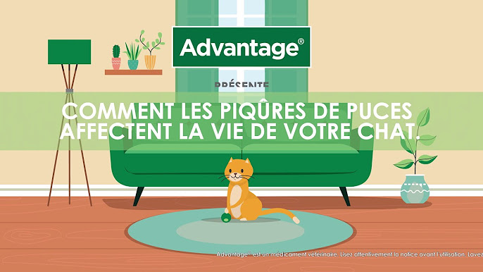 Hygiène et Santé Chat 