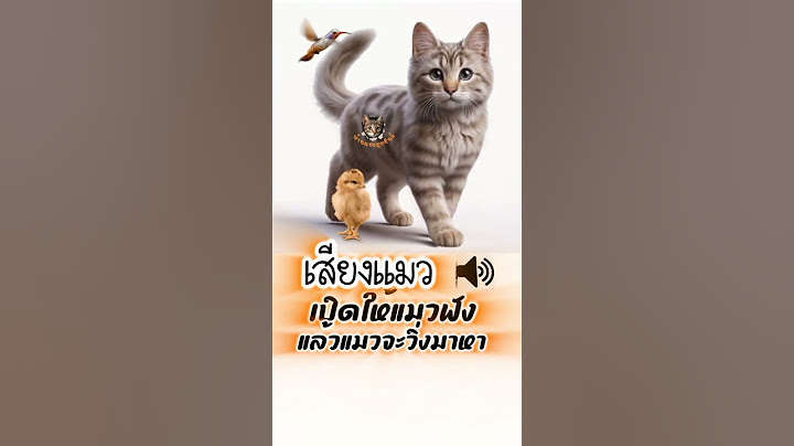 เสียงแมว ไว้เปิดเรียกแมวให้มาหา #แมว #แมวน่ารัก #cat #sound #เสียงแมว #shorts #มาแรง