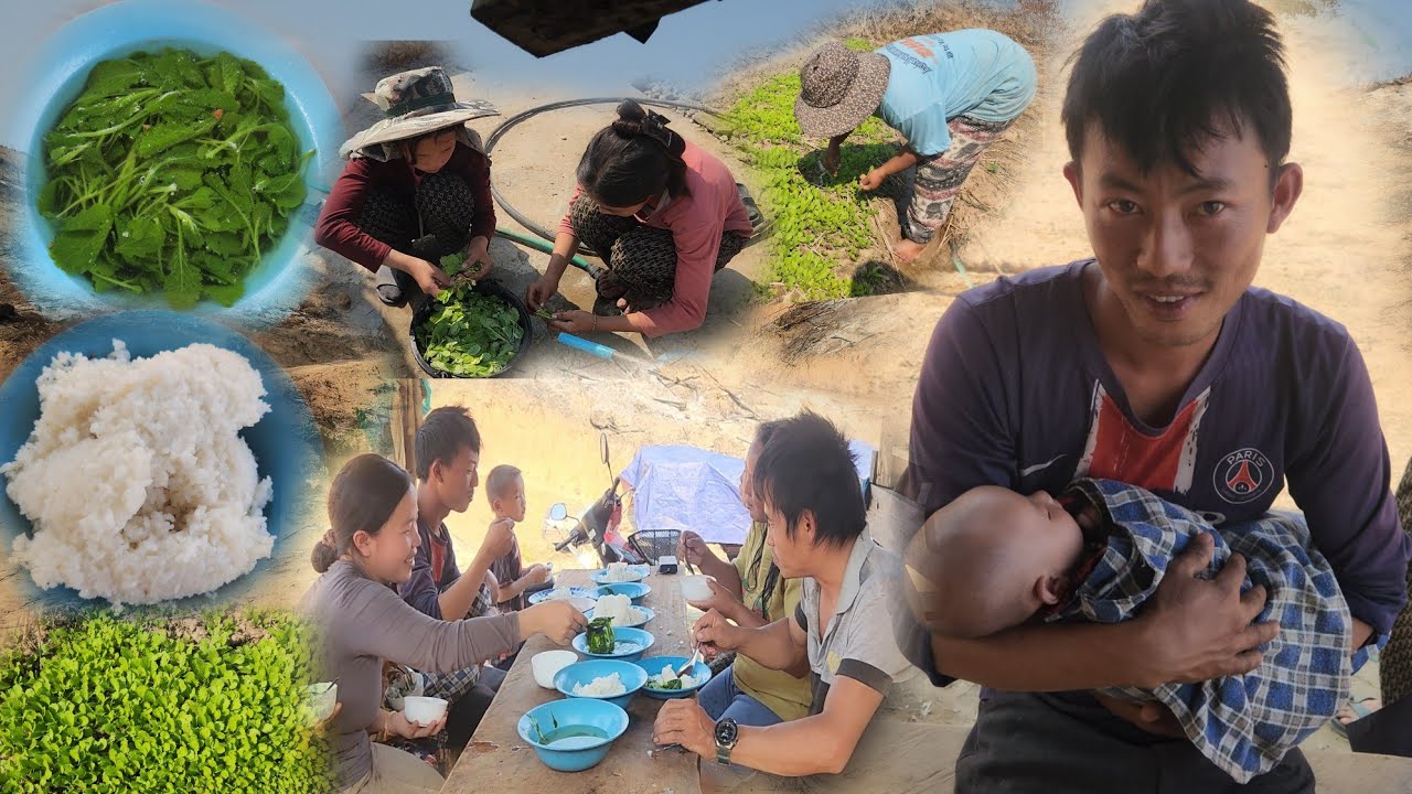 pe lo noj sus  hnub no tsav kub2 kawg  16/1/. 2026