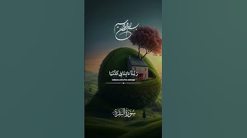 🦋القاري عبدالرحمن مسعد 🦋سورة البقرة 🦋