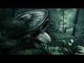 Plexigo - The Alien Jam [Dark Forest Psytrance / DJ Set / Juli 2OI9]