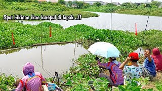 Spot kesukaan saya..! Mancing ikan nila liar di spot tanaman eceng gondok ..!?