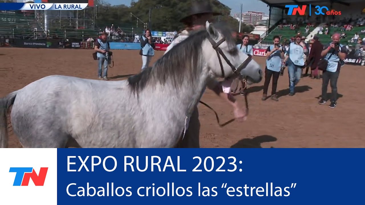 EXPO RURAL 2023 I Exhibición de caballos criollos como el gran ...