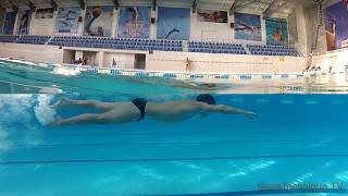 Breaststroke Swimming Drill  (Breaststroke Arms + Freestyle Kick)