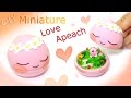 [Diy Miniature apeach Ball]  고백할땐  고백어피치볼 !