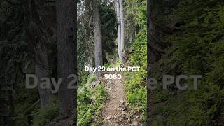 Day 29 on the PCT SOBO