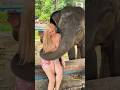 Animals Doing Things That Shouldn't Be Possible #animals #wildlife #shorts