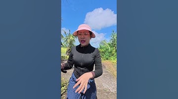 Đụng hàng con kênh nhỏ Oanh vlog #fishing #shorts #caucatra  #mientay #caucathugian #food