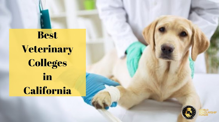 How much does a veterinarian make a year in california