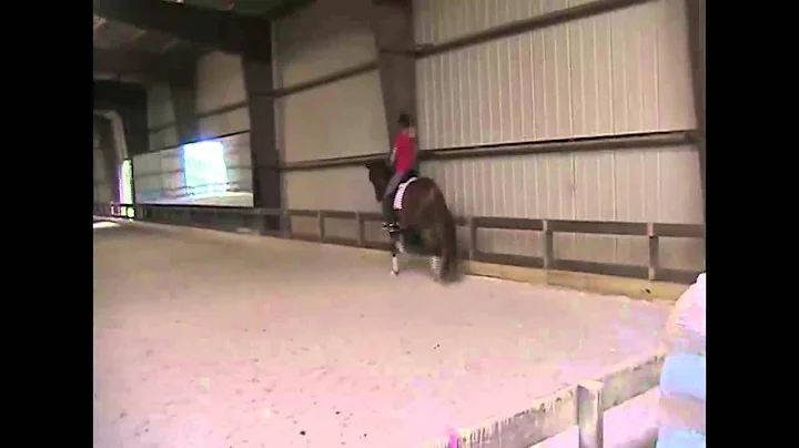 Stacey Hastings and Aros 1st level Freestyle