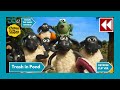 Trash In Pond Shaun The Sheep Reverse Reverse Clip S06E14