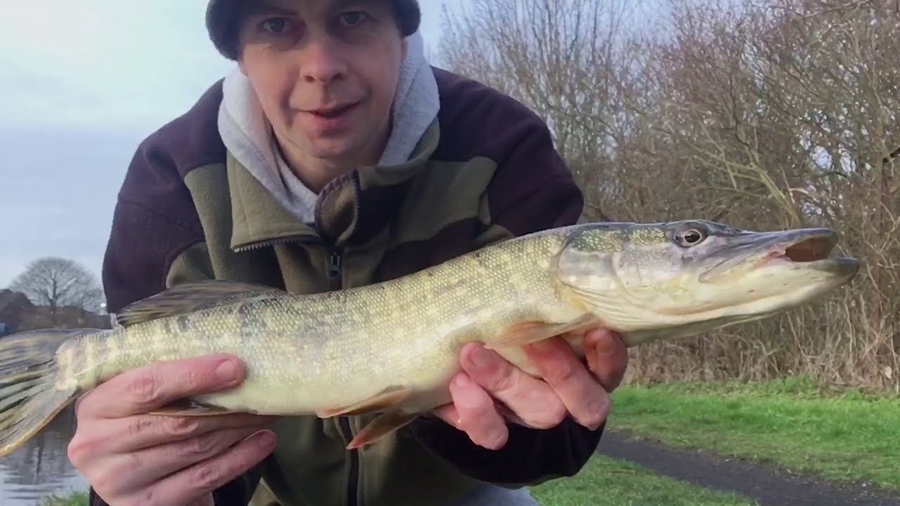 Winter Lure Fishing on The Canal Pike and Perch YouTube