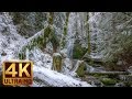 Winter Forest Walk in 4K | 2 HRS Relaxation Video with Beautiful Music - WATER & FOREST - Part 5