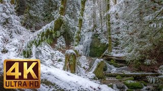 Winter Forest Walk in 4K | 2 HRS Relaxation Video with Beautiful Music - WATER & FOREST - Part 5(Take a look at the new 4K winter relaxation video from http://www.beautifulwashington.com and http://www.proartinc.net It is perfect for relaxation, study, work, ..., 2017-01-28T14:00:01.000Z)