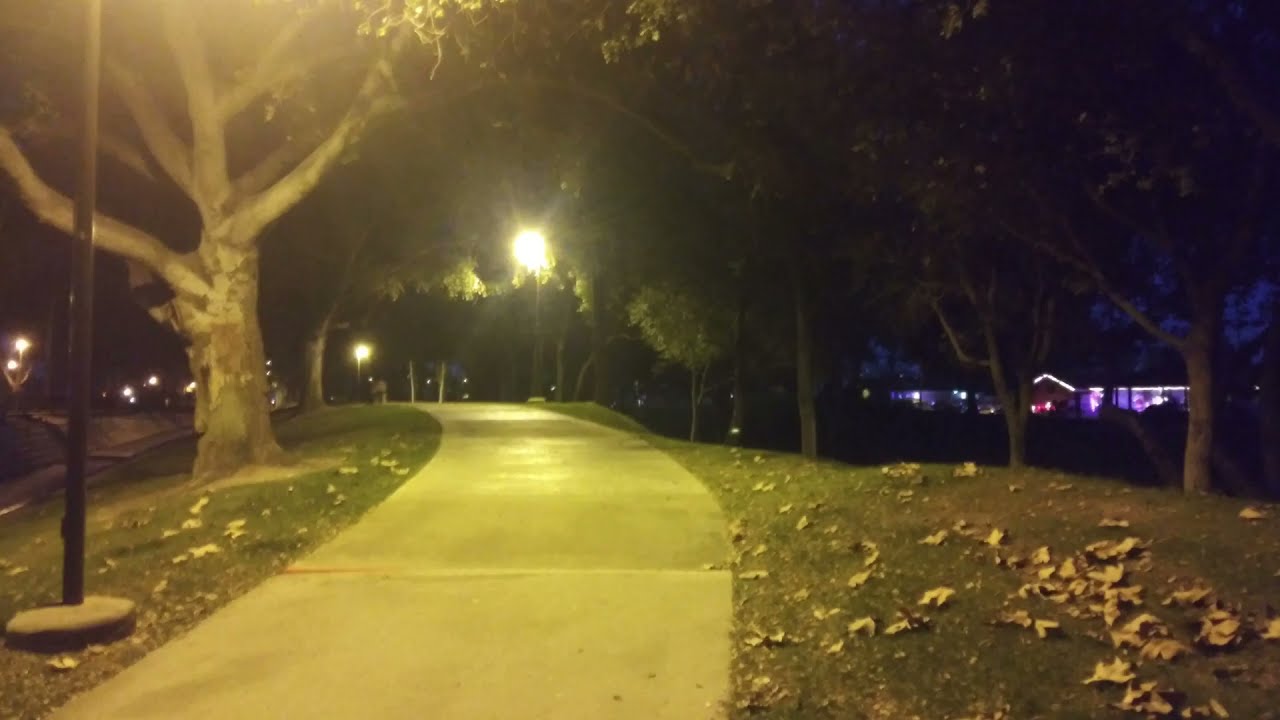 Pictures I took in your Dreams