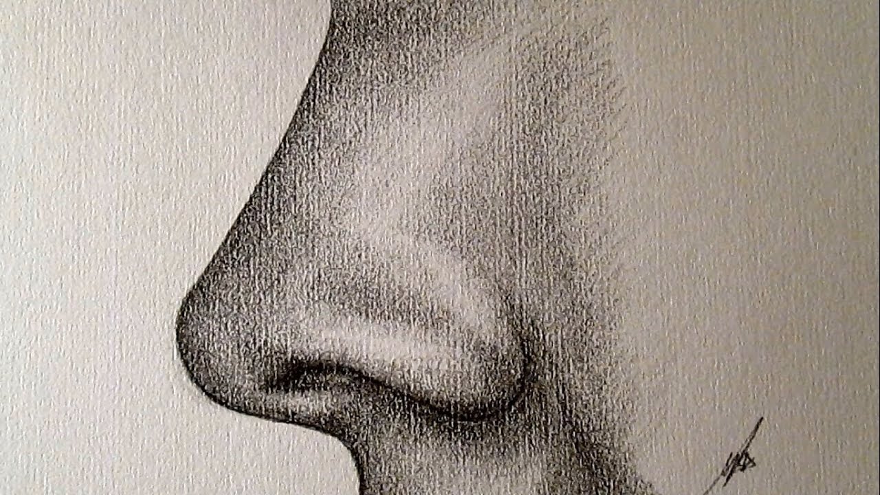 Cómo dibujar una nariz de perfil a lápiz paso a paso TUTORIAL HD - thptnganamst.edu.vn