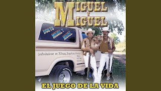 Video thumbnail of "Miguel & Miguel - Tu Delirio"