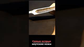 Якутский нож ждет хозяина #shorts