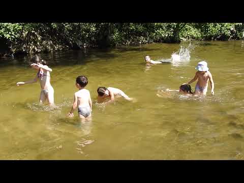 ძირულა 2019