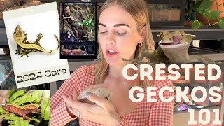 Crested Gecko Care For Beginners, Crested Gecko Care 101, 2024