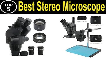 TOP 5 BEST Stereo Microscope Review 2023
