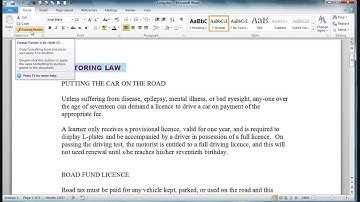 Word Format Painter Training