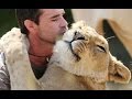 Tiger, Lion And Cheetah Cuddling With Humans - A Big Cats Compilation 2016