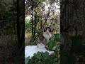 野良猫の家を覗いてみたら