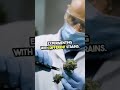 George Washington's Secret Cannabis Garden!